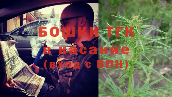ПСИЛОЦИБИНОВЫЕ ГРИБЫ Балахна