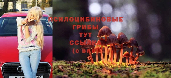 прущая мука Рославль