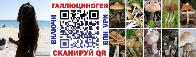 Псилоцибиновые грибы Psilocybine cubensis  Кудымкар 